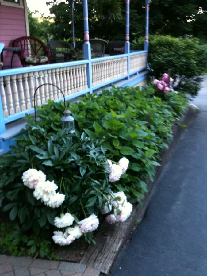 Rose & Thistle Bed & Breakfast Cooperstown Buitenkant foto